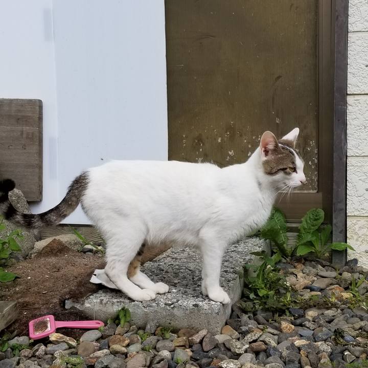 4fc48cc5 8b92 4a9a 84aa 3194ef260b2c 1594647631847