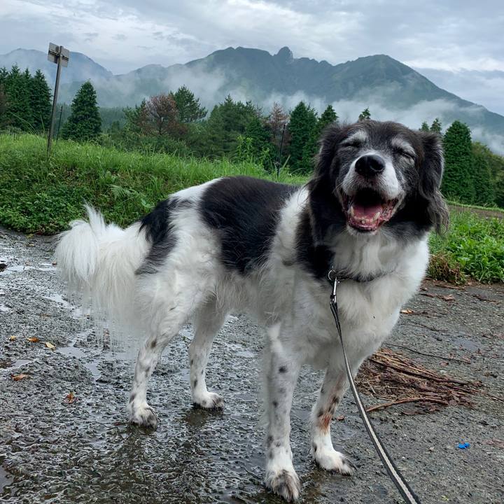 4fc4c9c8 0a19 4927 abf9 9509b5b5f7dd 1566711450455