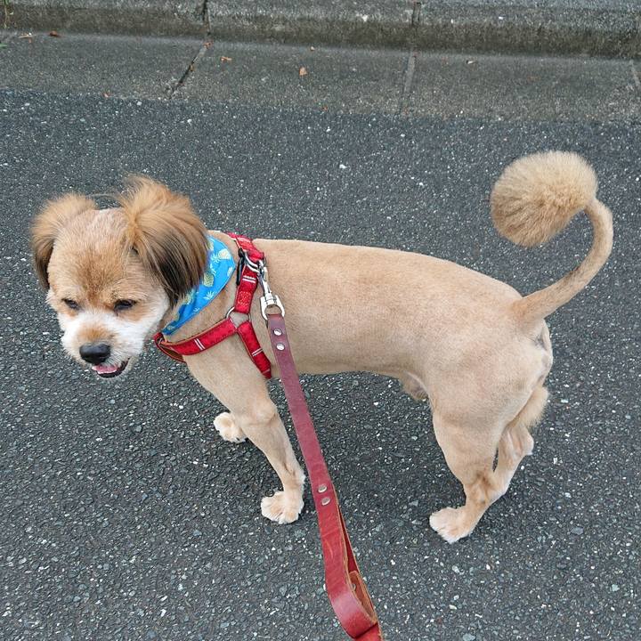 4fc4f41b 4911 434c a1eb f4e1e1b9d10d 1565000702888