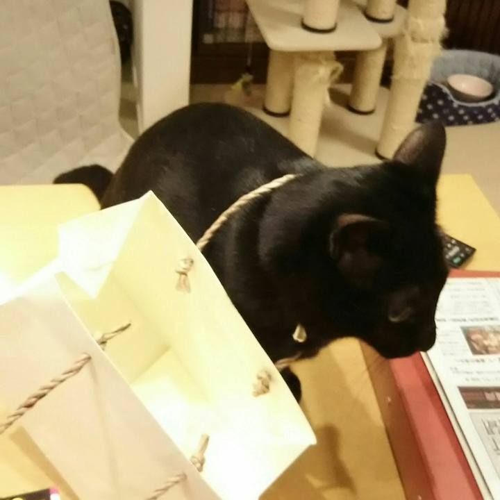 4fc53597 c0be 4ea5 8cd7 e4b49beb5afa 1517640273028