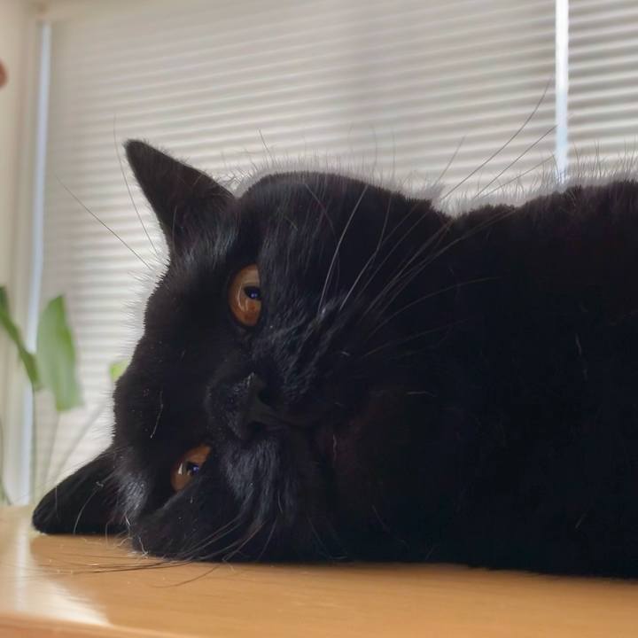 4fc54ec0 e4d4 4cc2 907b 647a7e4ec07c 1625803358509