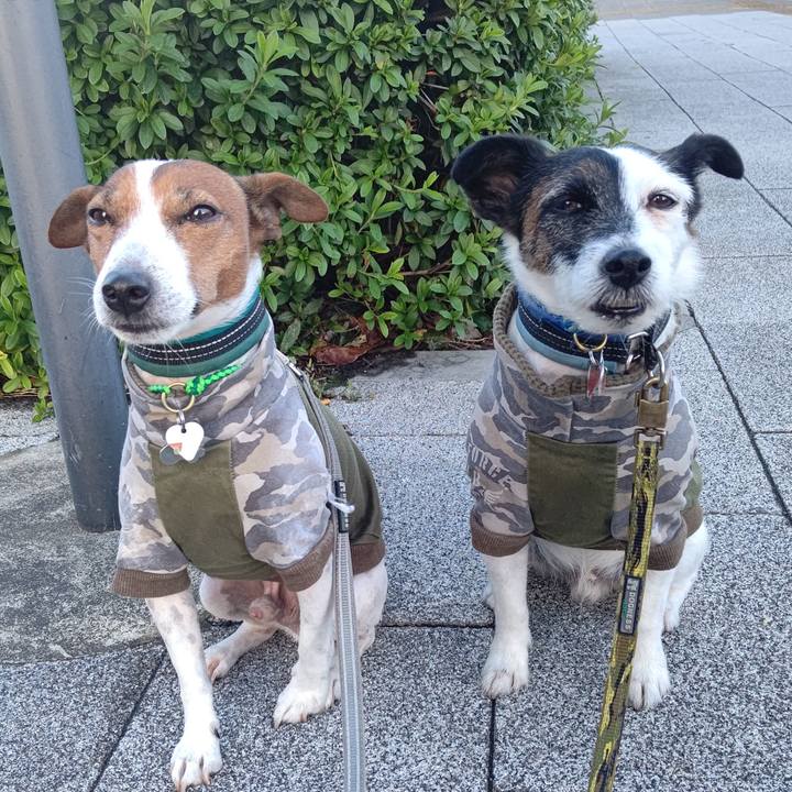 4fc55554 e3b6 42a4 8197 65e5fac83754 1700264124441