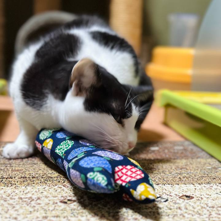 4fc558b7 c62b 4ae0 bbbb 705eb98989b8 1697335781839