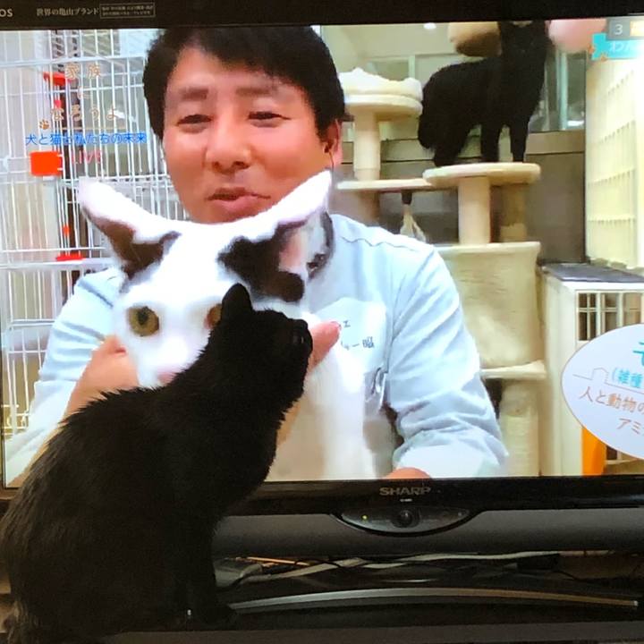 4fc5844c c410 41de b5d0 685d4bd6483e 1569051717245