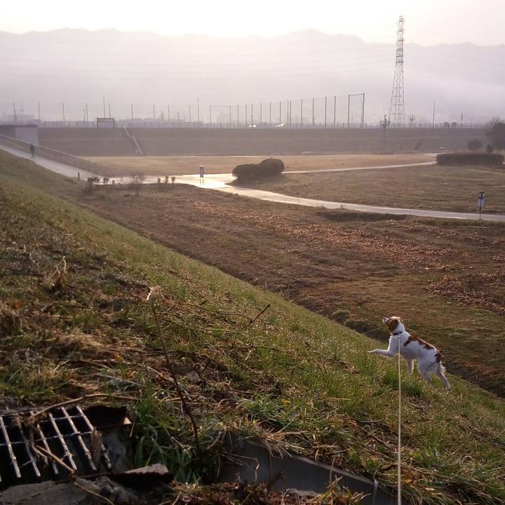 4fc5a909 bb72 42ed 8d7a 53bead80fb69 1519646916930