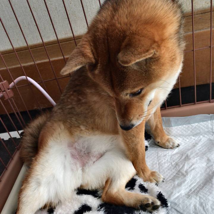 4fc5b0bc de81 4b1b ad0a b46714452c21 1520636575095