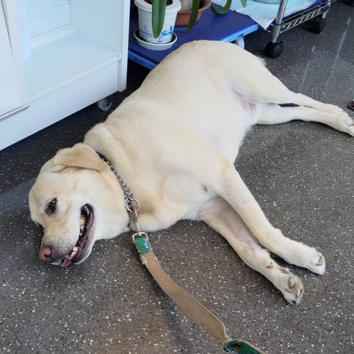 4fc61223 a32b 444c 9fa8 4538ab26644f 1663404790799