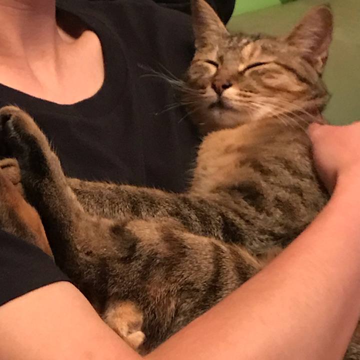 4fc6447e a8f5 41b9 be2d 756df7dd4a78 1574865430320