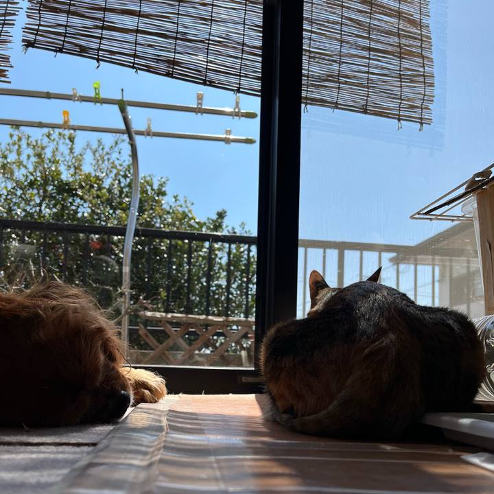 4fc666a2 25a2 42ff bc85 0ca06ac3b4bc 1742608950457