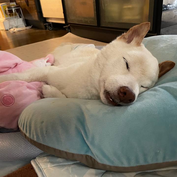 4fc678f4 cfaa 496d a396 345dd561da9a 1663223299996