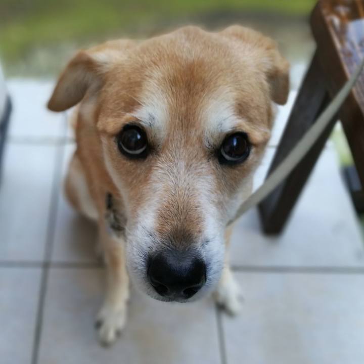 4fc6902a a246 4b01 8d99 375773355b79 1544178729840