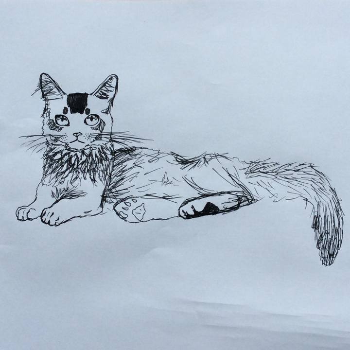 4fc6f09d a5aa 4643 a3d2 b5c3416b149c 1570323438263