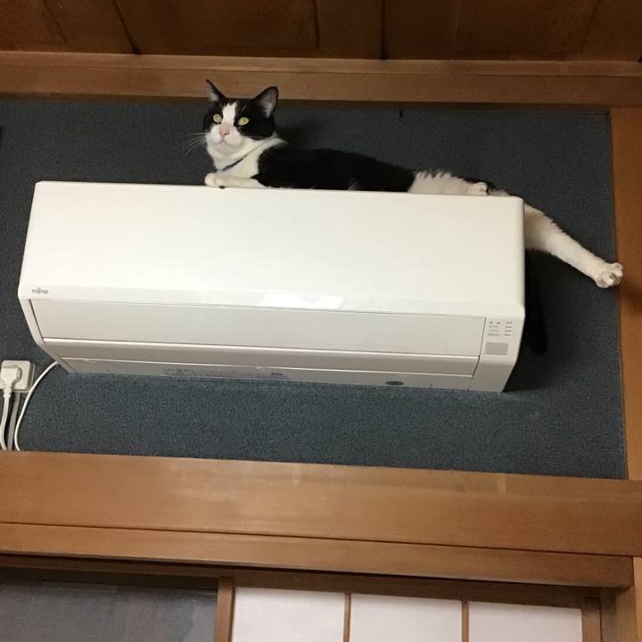 4fc6f822 91ec 4137 bc39 781e3f1ff1aa 1728385411062