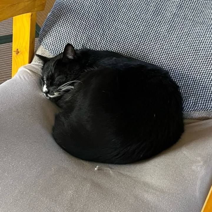 4fc716c6 e3f4 4578 95ac 2668d15a8f07 1731991764220