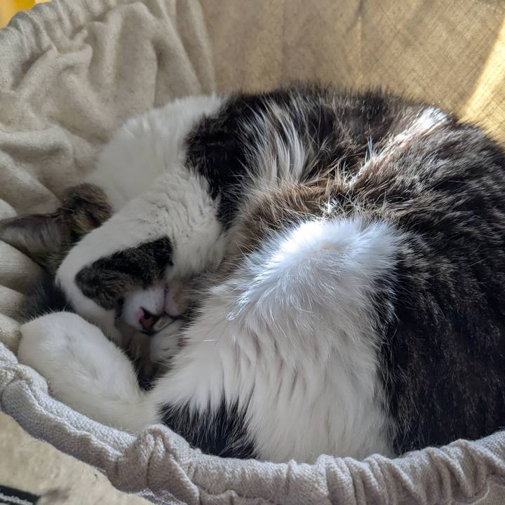 4fc71b46 d10d 417e a247 b3223c35aa39 1734322254874