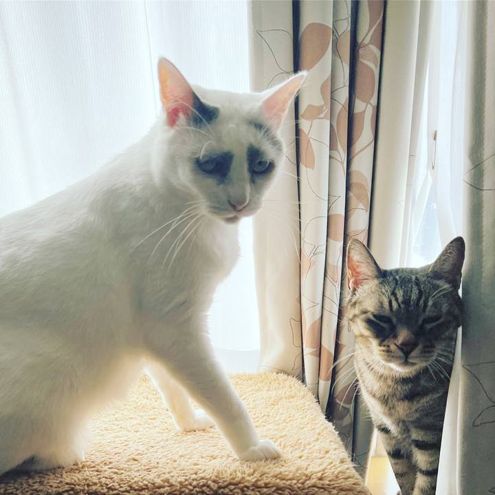 4fc7555a 966e 4b51 9da4 d0eb8aa9e8a1 1646485737653