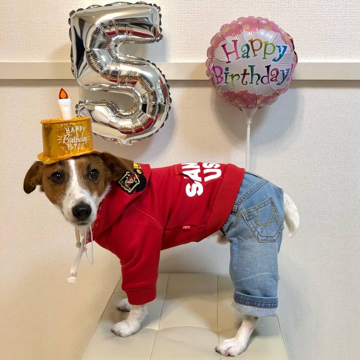 4fc7d8f0 b60d 472f 8270 5815d89e2815 1614596833625