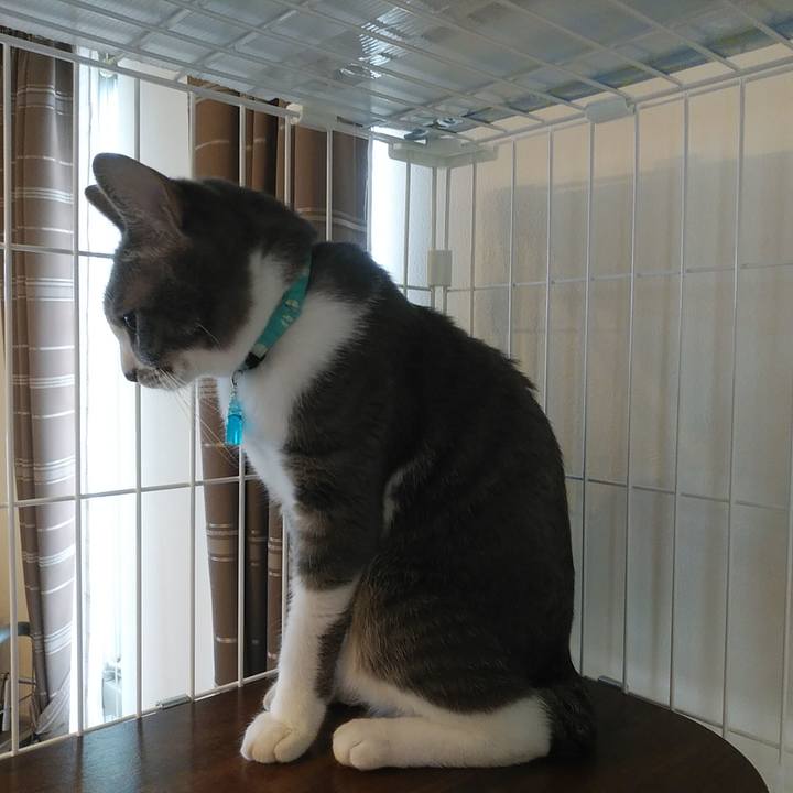 4fc8291d a668 4f39 9944 5f7c5843de88 1592532628239