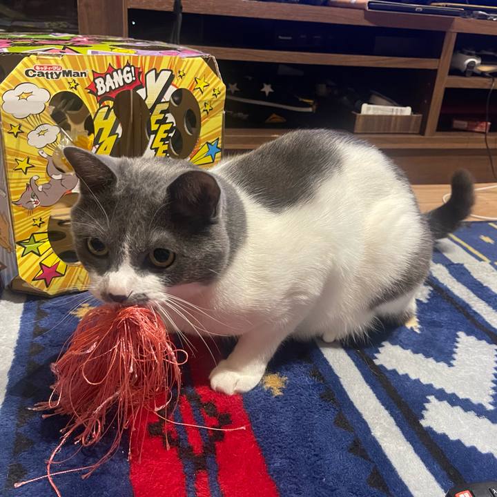 4fc880cf ff02 43f0 a48f 24827346254f 1653911426817