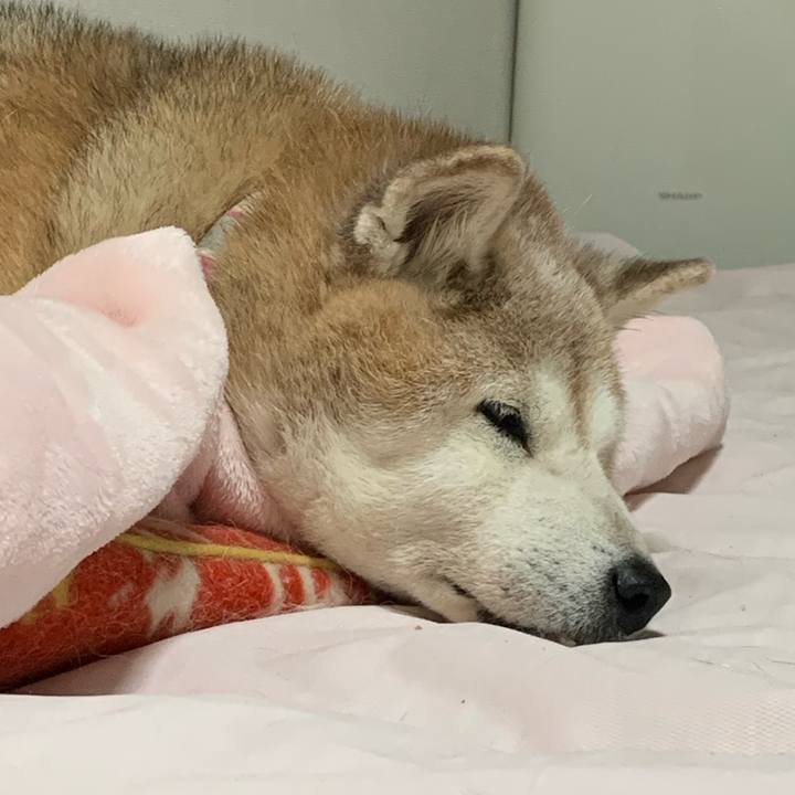 4fc8861c 9348 41e1 b0f1 281dd2c09602 1659797056251