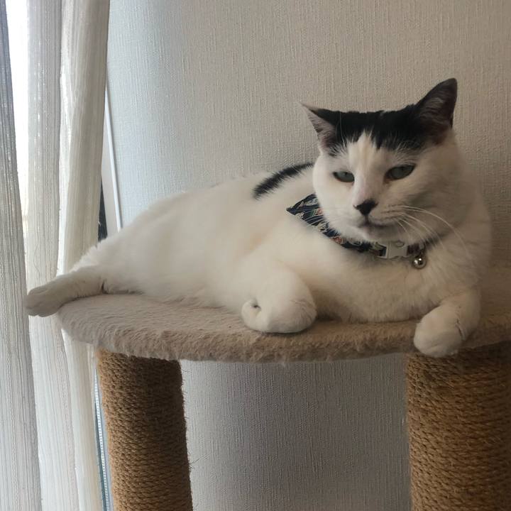 4fc893a3 1e00 406a 9d34 9e7e0e624b6c 1581032017675