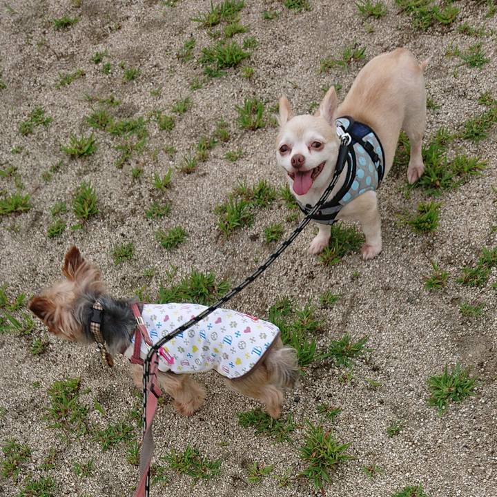 4fc89c85 cc81 4f01 bff1 7fbe011f97c8 1564470548452