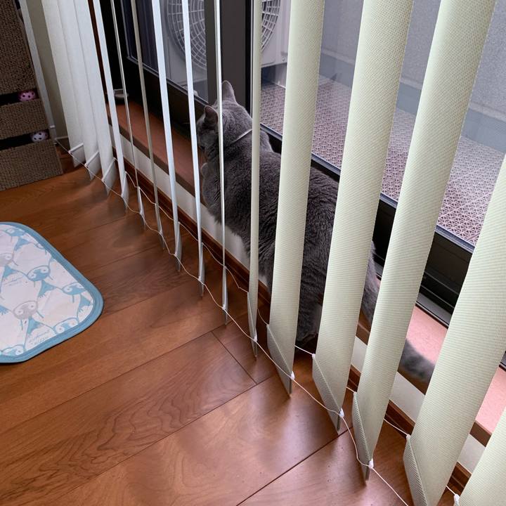 4fc8a045 856b 4a6a a2bd dd8c42d640d9 1657615090888