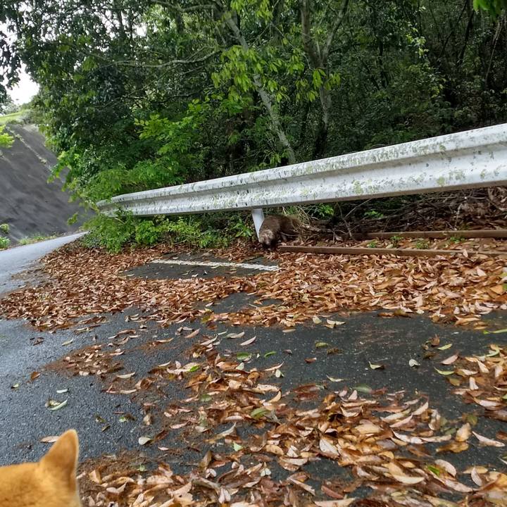 4fc8a747 8826 402b 8ed4 ed38f2b302af 1556628090263