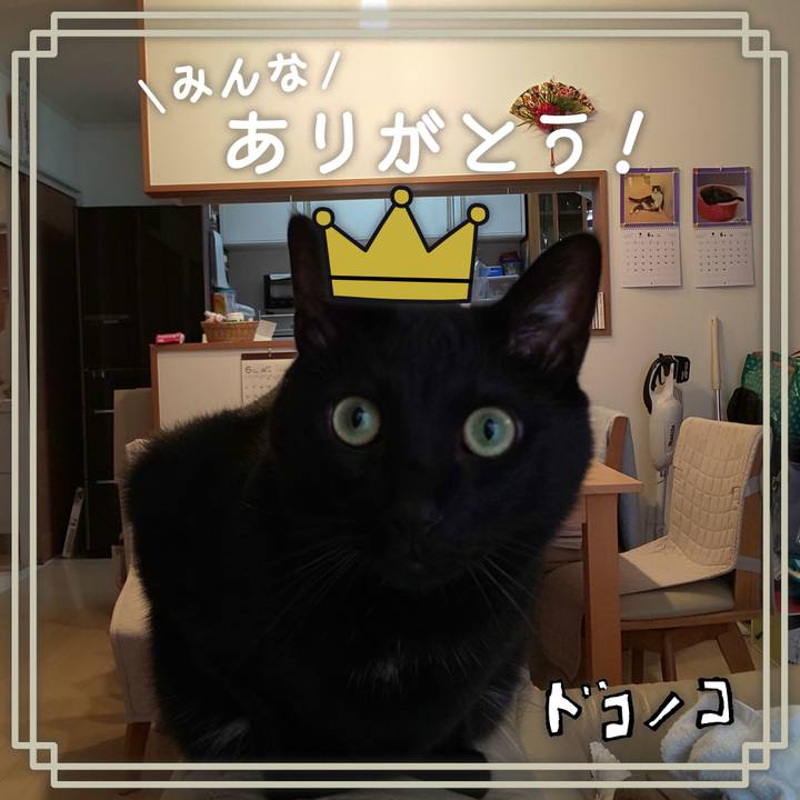 4fc8e9a6 4c77 4a5b 93c0 e49a0af74eeb 1622858336367