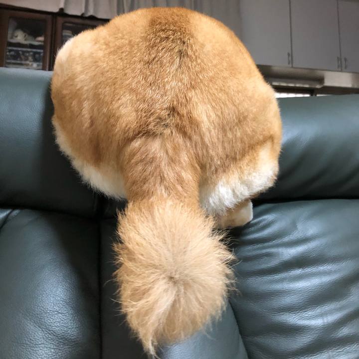 4fc8eb7b 7303 4243 86f8 b0d121e7a876 1583819489964