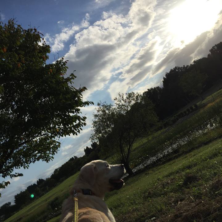 4fc8fd2a fbf1 48f7 97ca b06fcf9f63d3 1547451205798