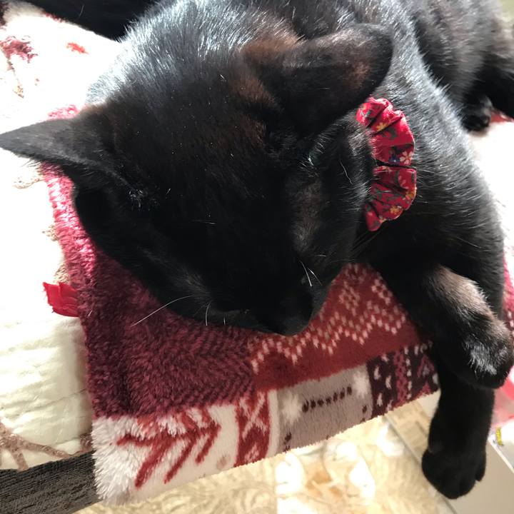 4fc929b3 f7ef 45c7 a867 62d1ec00ba0d 1542246857718