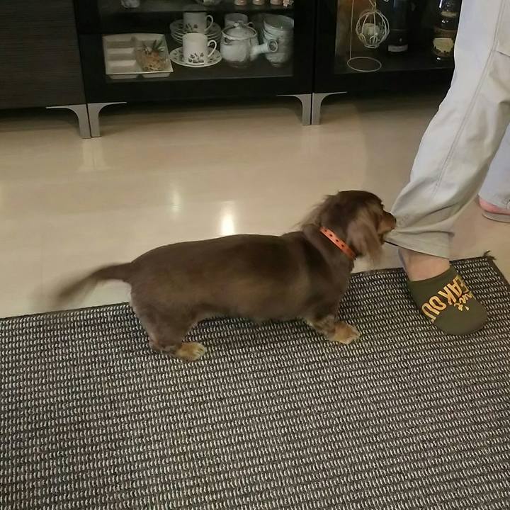 4fc9469f e13c 49b0 b741 5b71a9b4a823 1544330123489