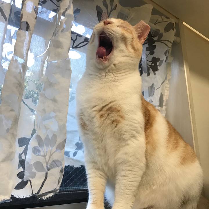 4fc977db fce9 42d1 9415 d3f914cf47d3 1536576821253