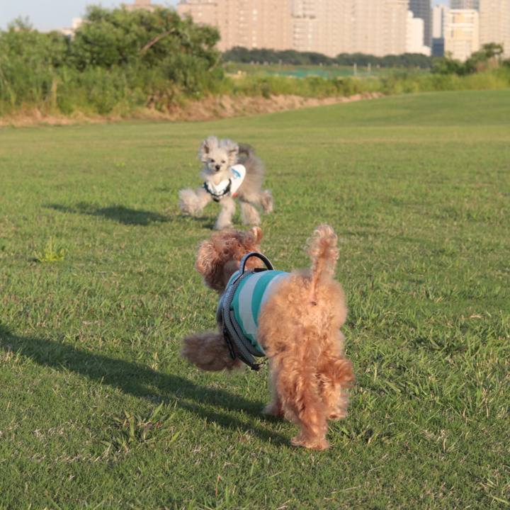 4fc9920b e27b 432f af73 7175ec10a686 1622303395670