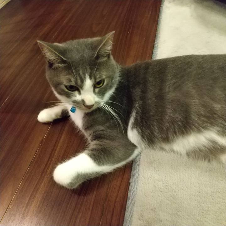 4fc9a14a 5d47 4e85 bd07 4060e479fdcc 1597850514092