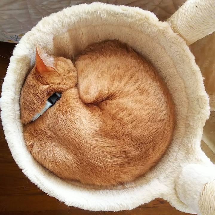 4fc9a41d 8f9b 4eb8 bef2 3ad0dc24d2e6 1621057347021