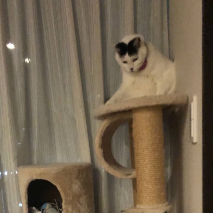 4fc9e12d 4942 4ea4 8155 92e831f7ae0e 1548336826475