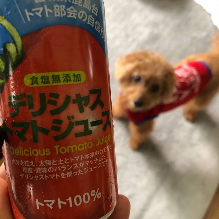 4fc9f828 7dcc 4637 9519 7a0e06207685 1595919418420