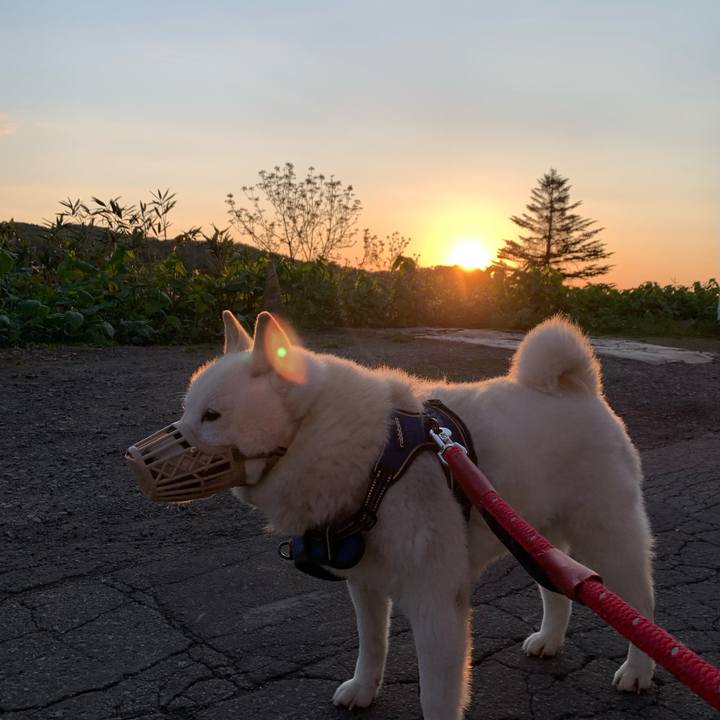 4fca1131 914d 41b4 8f30 a2ab130b6c3f 1652645646284