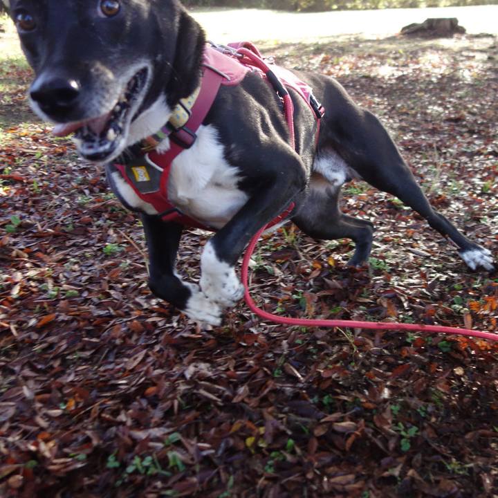 4fca1b97 e197 4126 b3ba d95a051a18c2 1700268960217