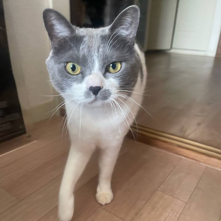 4fca4ccb 2b1a 47e7 9fcb 35298e01d50a 1707434947072