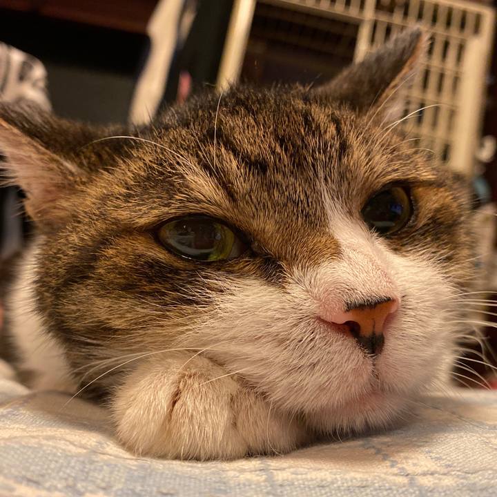 4fcaac7d 7483 46c5 b4fd 0a05c63b34e8 1626880514435