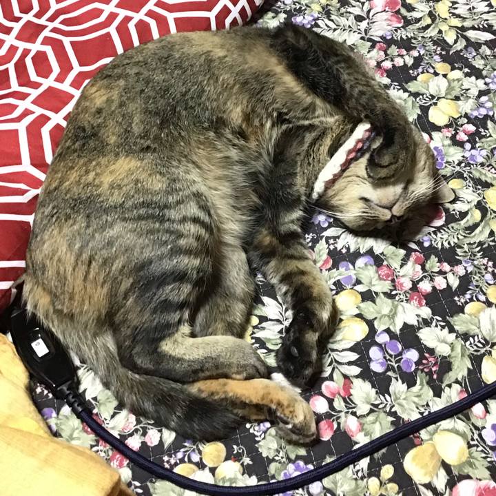 4fcab89c 8ab6 476e b2da 9bceca696b10 1619779714842