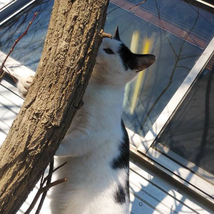 4fcabc2b d50c 415a 8f05 75f93439d86a 1579480867183