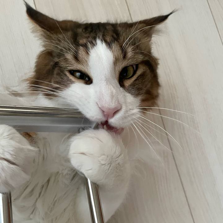 4fcae9fa e070 4261 be1a c1fdce6618f9 1650708293015