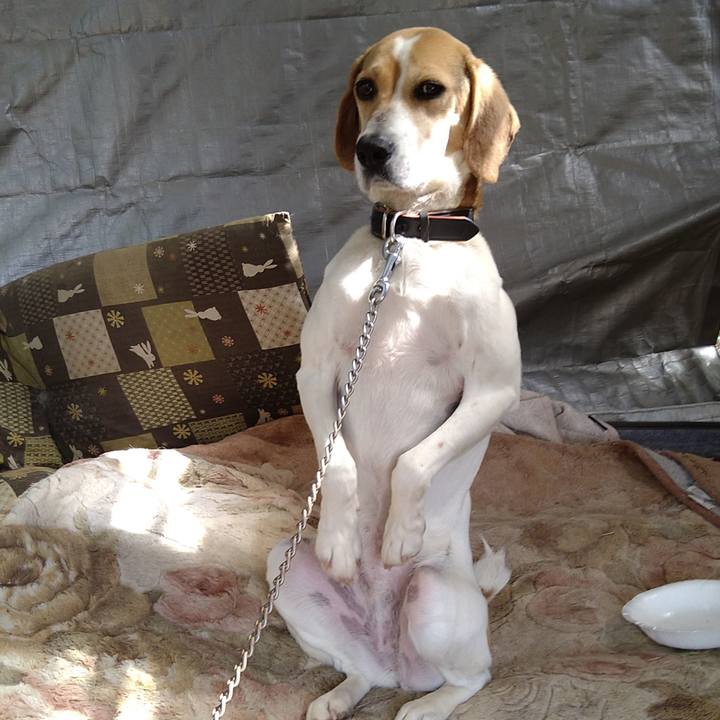 4fcaf8f1 6c68 4c69 933b ed9a53f75da7 1661251119586