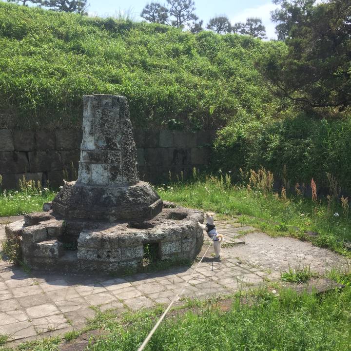 4fcb1e01 5bcc 4eca aac3 0e04f694be2c 1556963270781