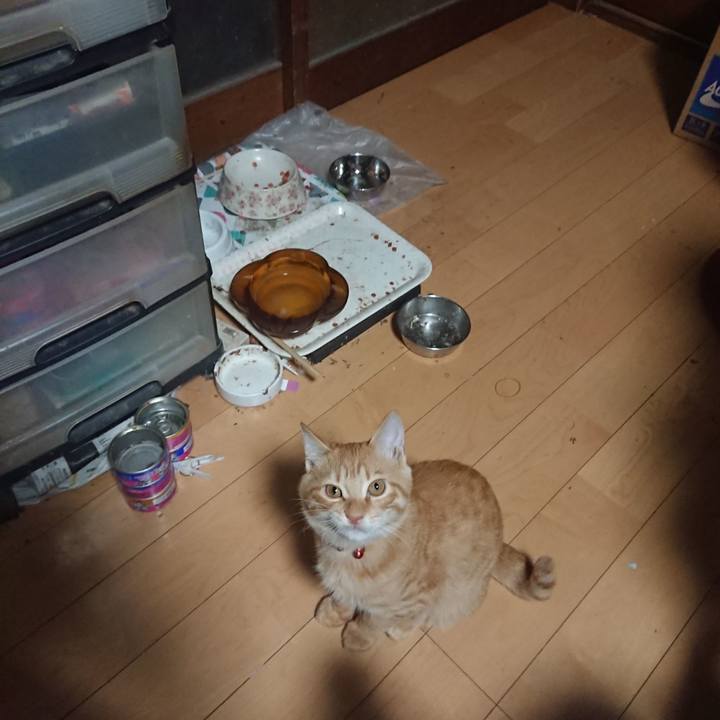 4fcb219e cc03 4ed9 82d3 dcc786afb4c4 1635454386930