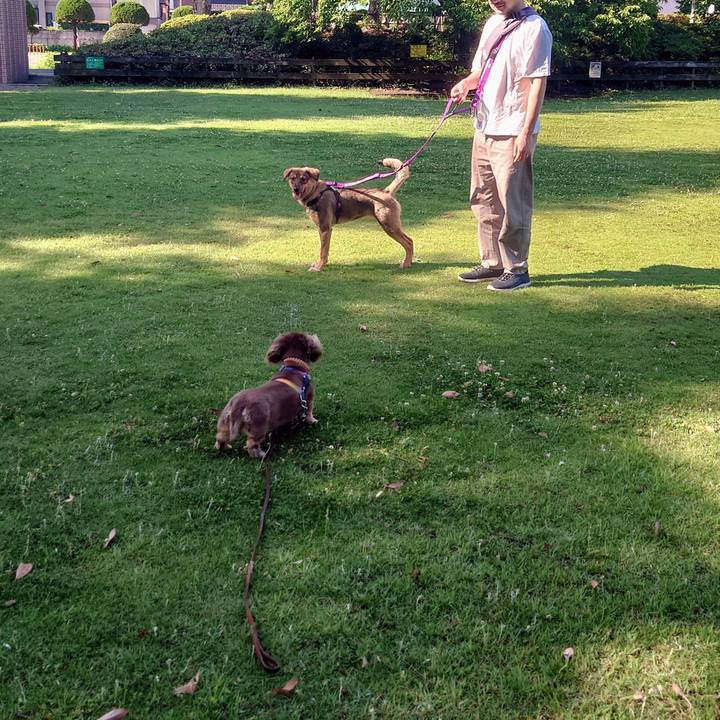 4fcb4193 5fbe 4692 8df2 e8fbf04d22f1 1686958927312